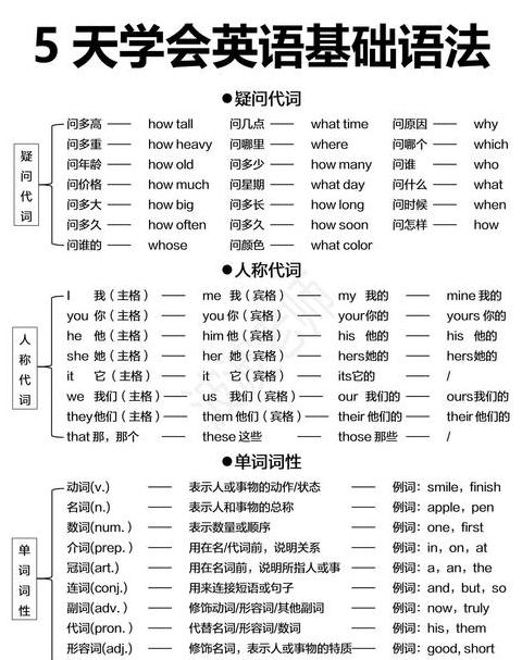 全面解析：数字语法范畴及其在语言中的普遍性