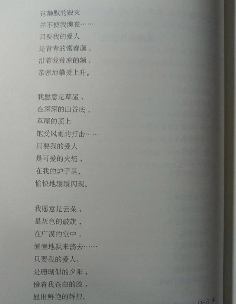 比较我愿意是急流与致橡树：爱情表达与艺术技巧的探析