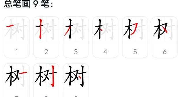 树木笔画解析：树字九笔顺序及丰富内涵