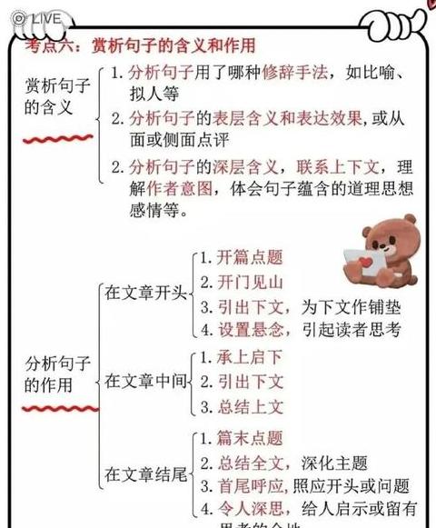 现代汉语语法与修辞解析：目的、意义与作用
