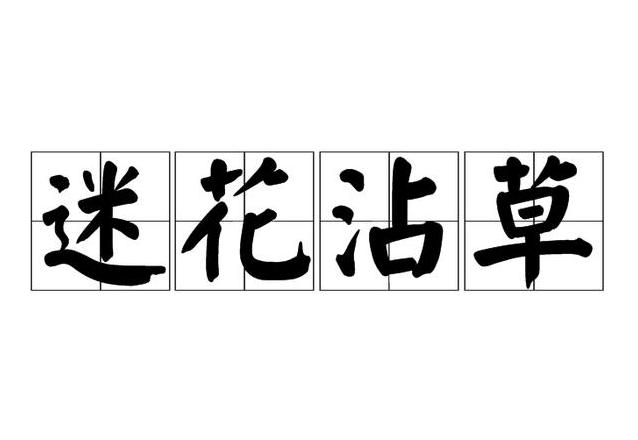 沾字成语