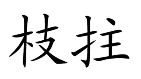 枝的拼音怎么写的书