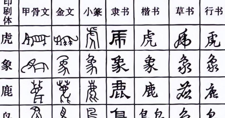 与扁字读音相同字形相近的有