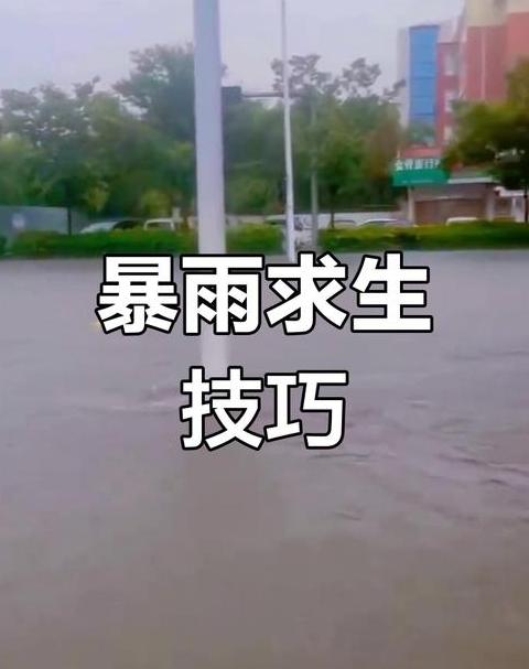 大雨如注中注的意思