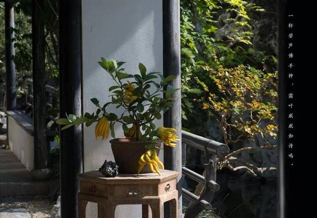 四时风雅什么意思