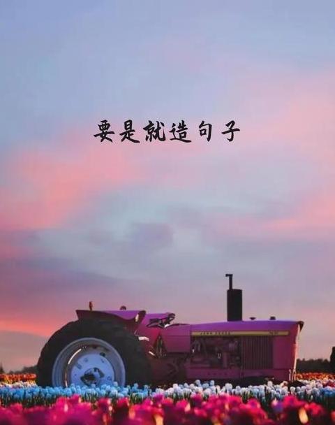 要是造句子一年级
