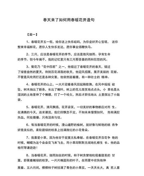 奇迹造句子二年级20字以内