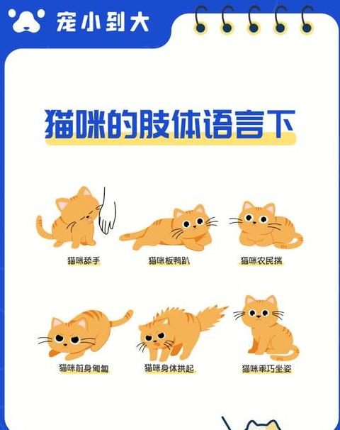 c语言中int arr什么意思