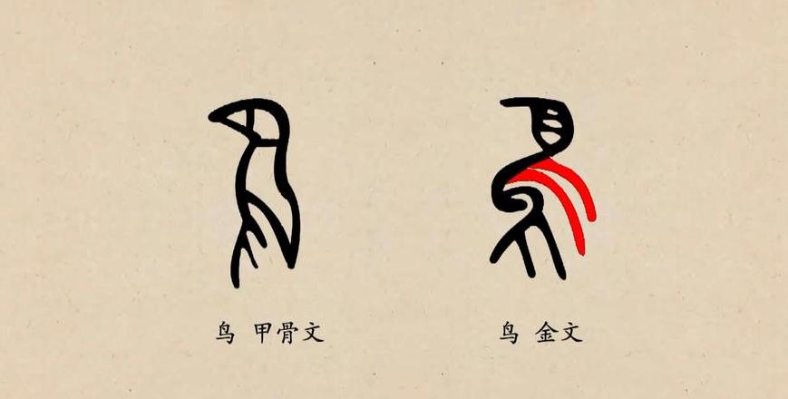 鸟在田字格的笔画顺序