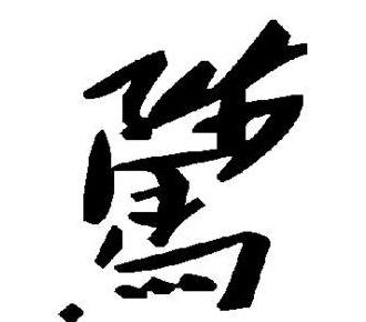 汉字骘的读音及多重含义解析