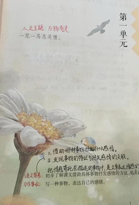 白鹭造句精选：30句自然风光描绘