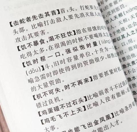 俗语和成语意思相同的句子