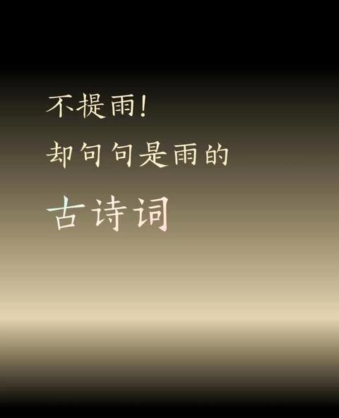 细雨四字词语解析与应用