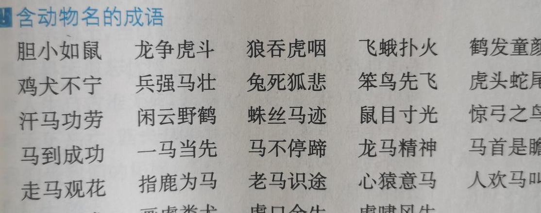 原神八方之网捕捉指南：盘点可捕获的动物种类