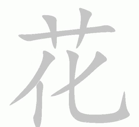 不字的笔画顺序及用法详解