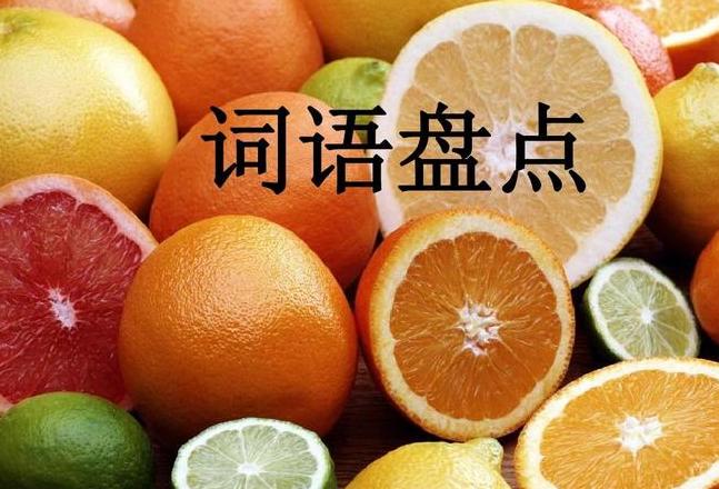 带水果谐音的成语学习