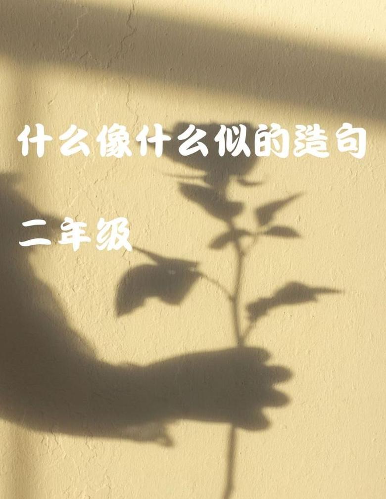 像什么像什么造句一年级简单的
