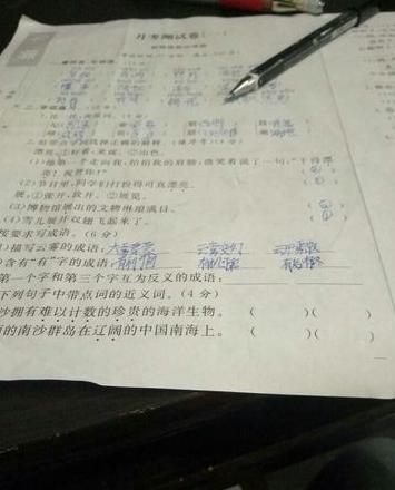 寻找同义词大盘点：探索与寻求的词汇之旅
