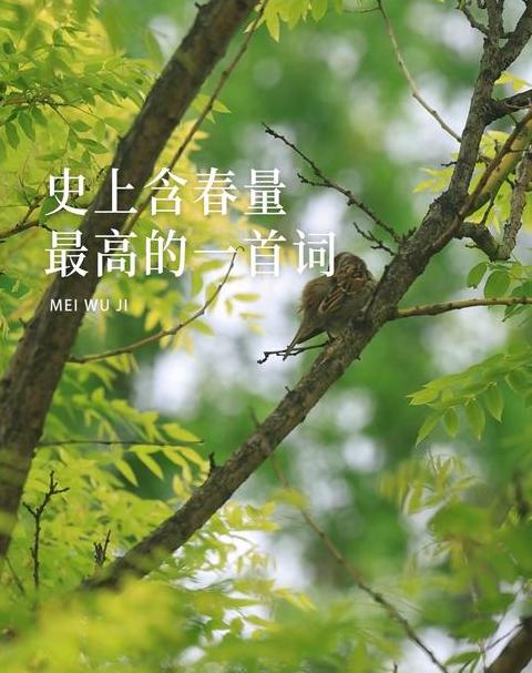 带有春字的4字成语有哪些