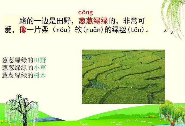 葱葱绿绿的拼音是什么