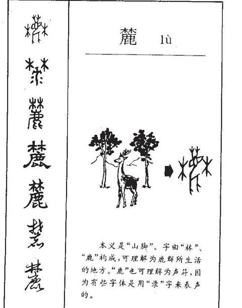 茉的拼音是什么样的