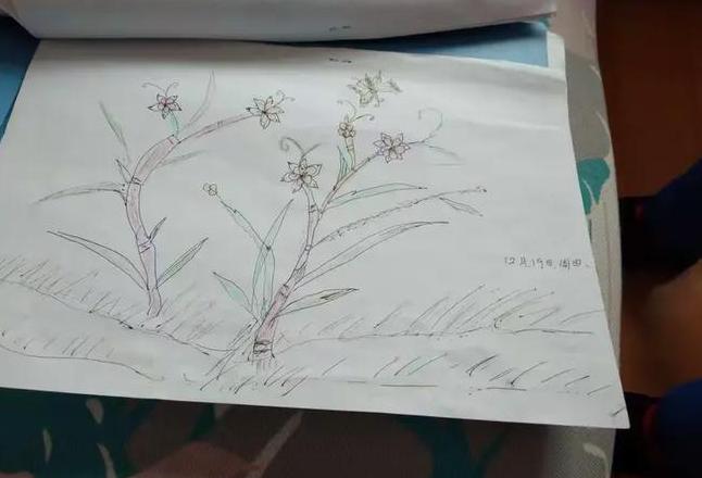 姨共有几笔画