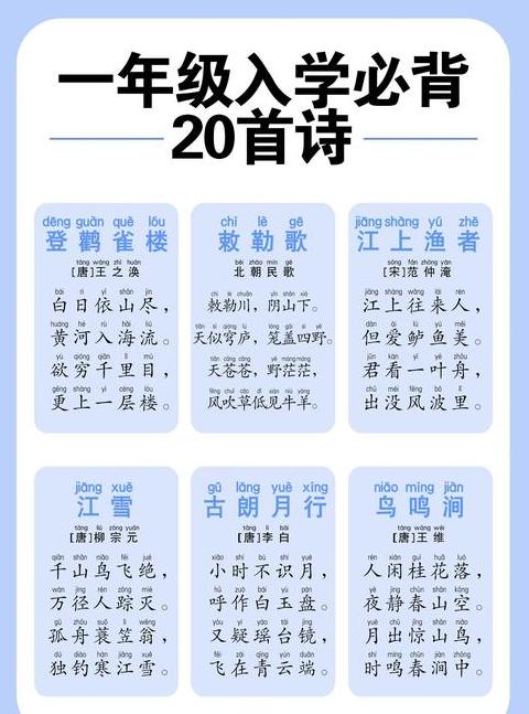 拼音fu的多重含义与用法解析