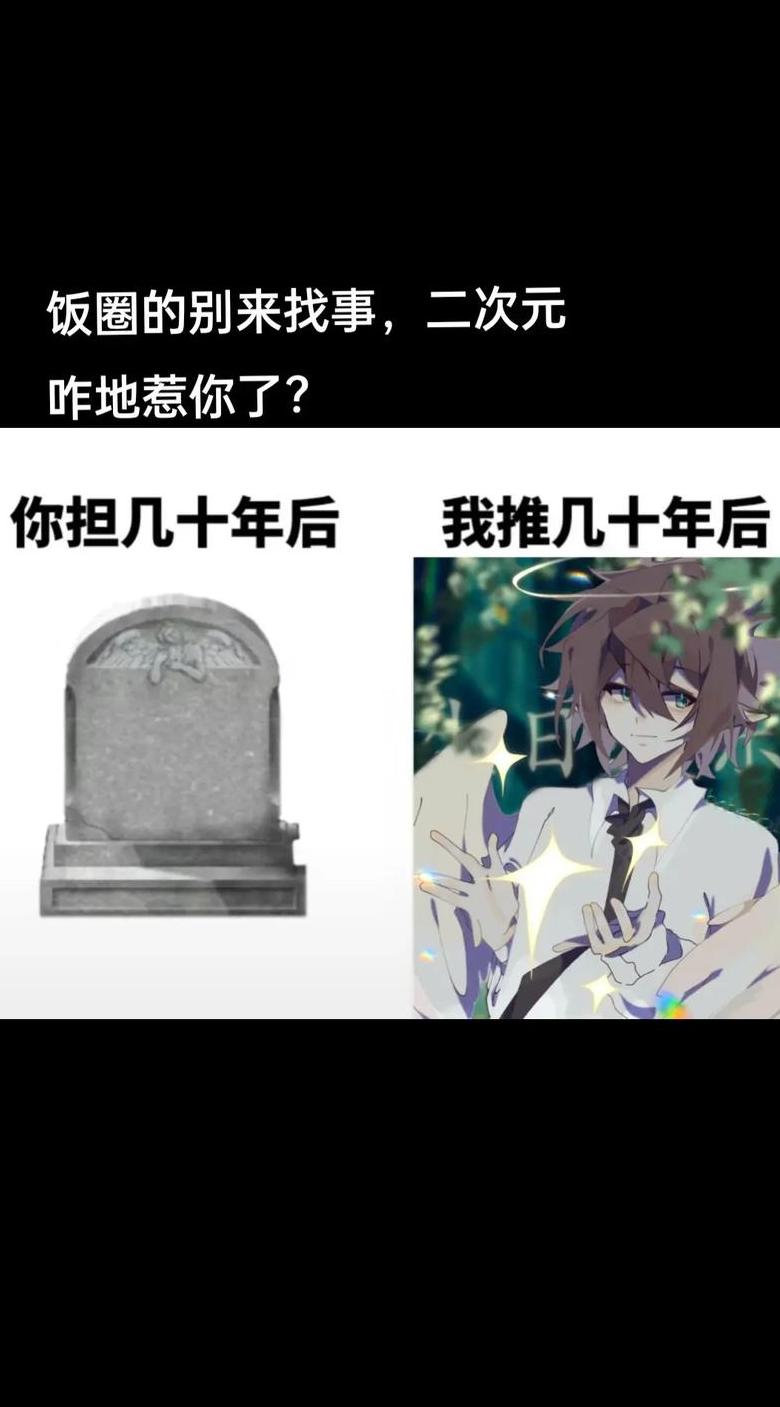 饭圈推和担什么意思
