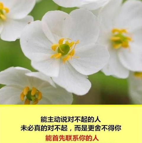 即使什么也什么怎么造句?