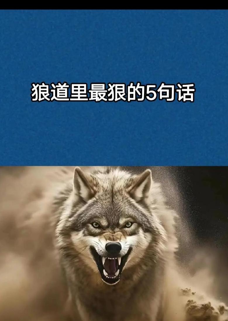狼群之魂：团结与凶悍之力
