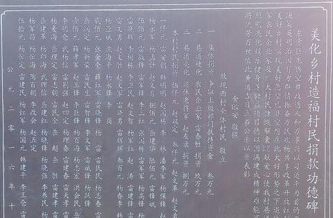 泽惠释义：解读其网络、贫困与艺术意义