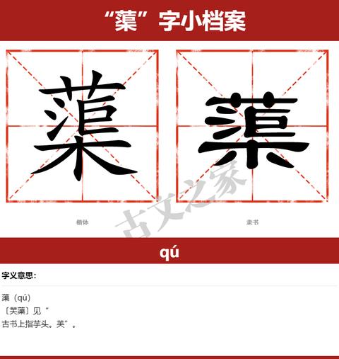 襟的读音怎么读拼音