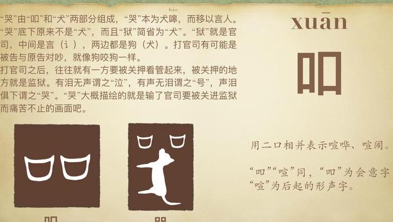 咬文嚼字：深入解析语言精准与表达之度