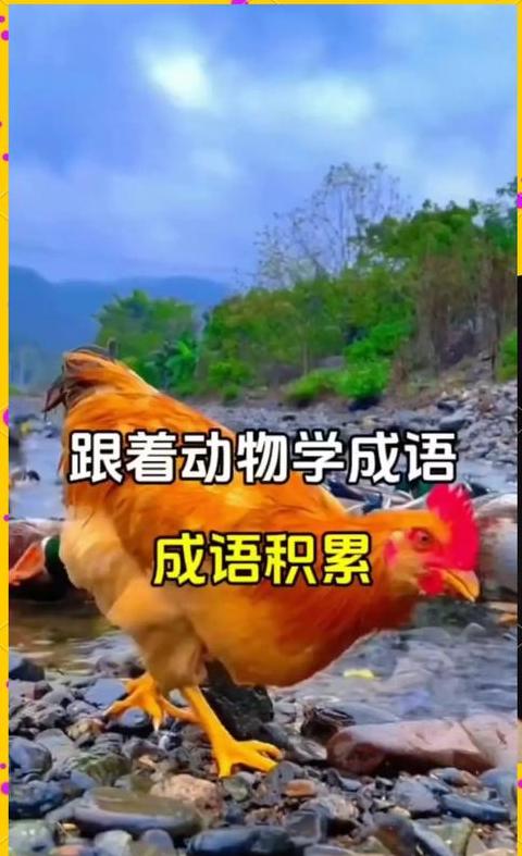 与动物有关的成语是什么