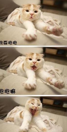 抱抱造句一年级下册