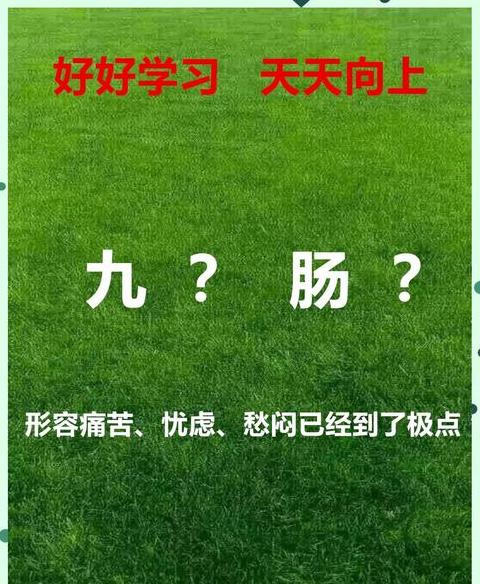 带九的四字成语好寓意