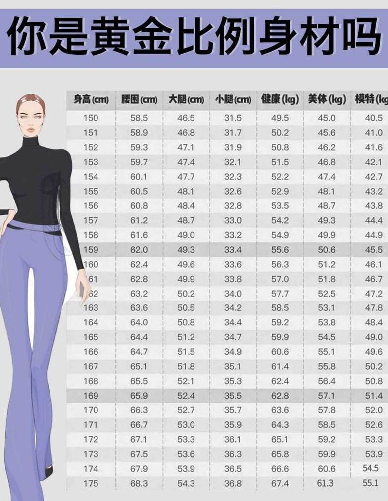 女性三围标准计算与理想尺寸揭秘