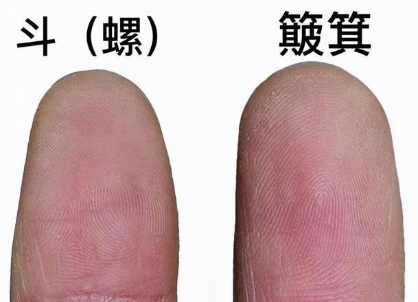 富啥意思