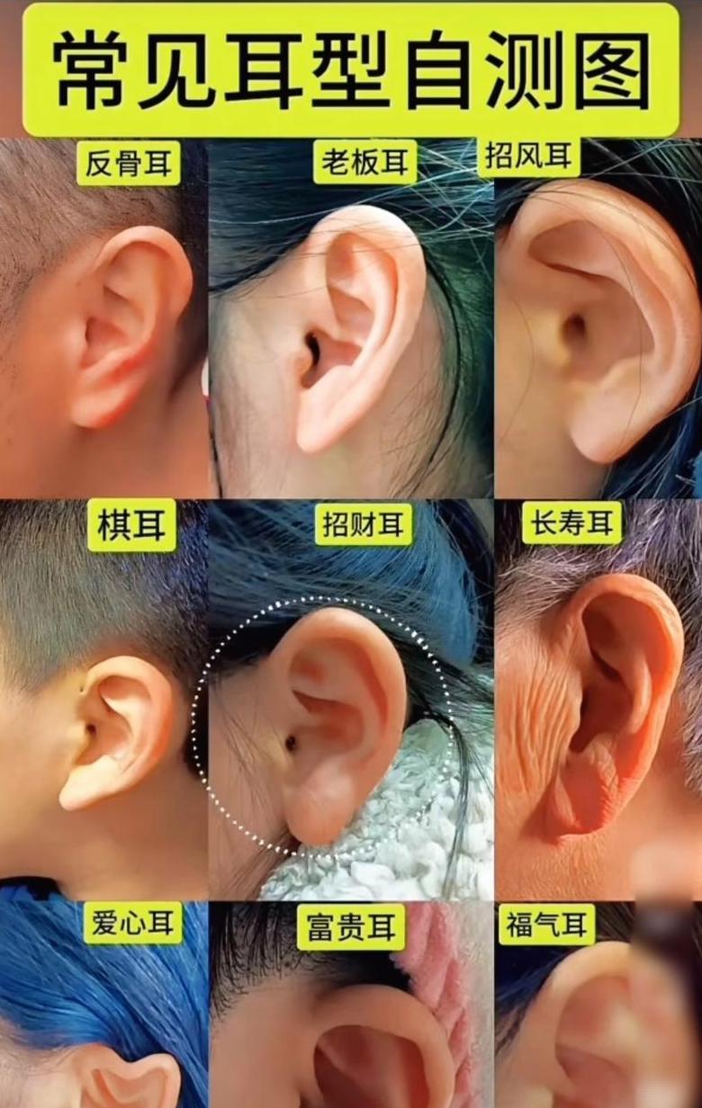 正确表达：一对耳朵还是一双耳朵？