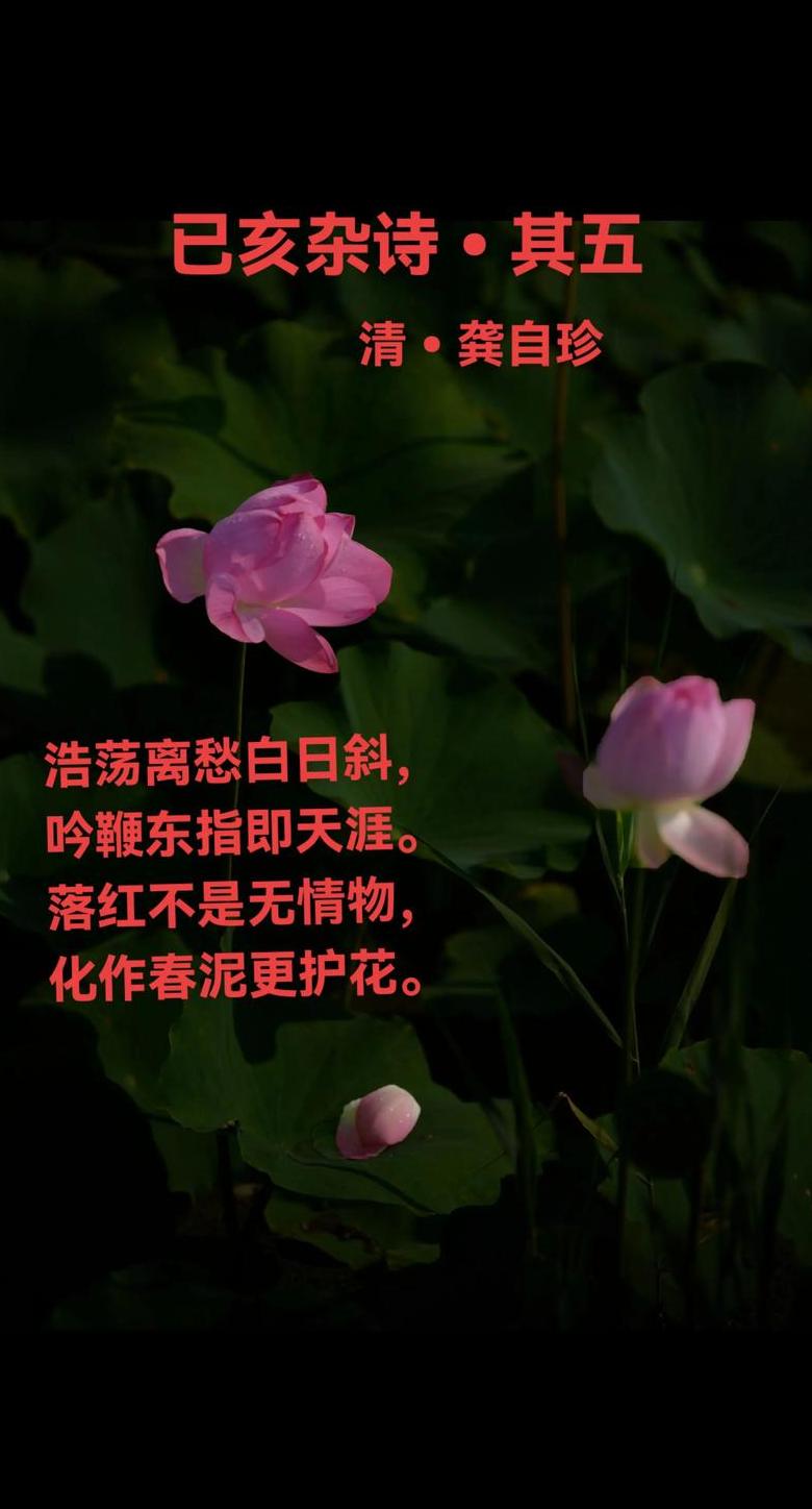 己亥杂诗龚自珍拼音