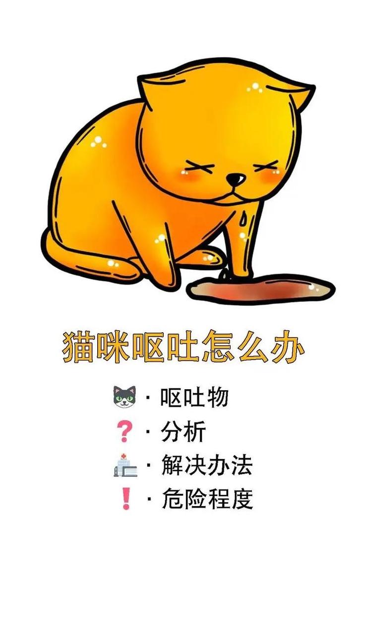 多音字吐读音解析及组词用法