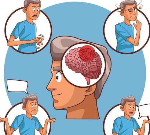 人体不同称谓解析：身体、躯干、肢体等词义全解析