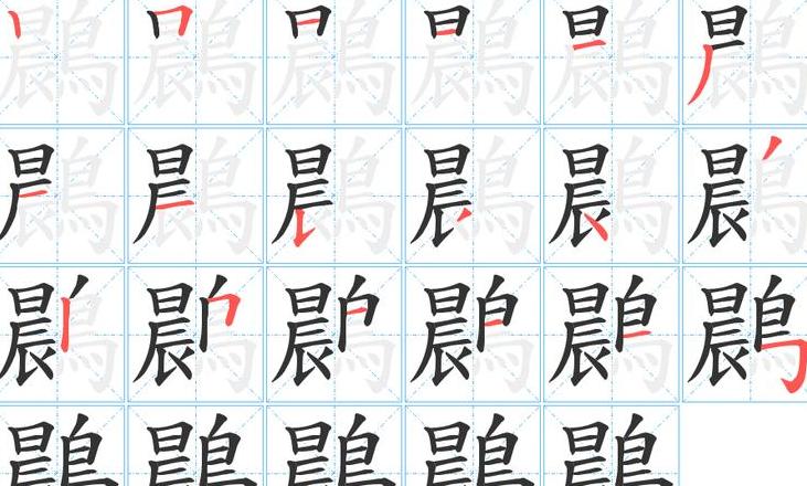 演的笔顺笔画顺序怎么写