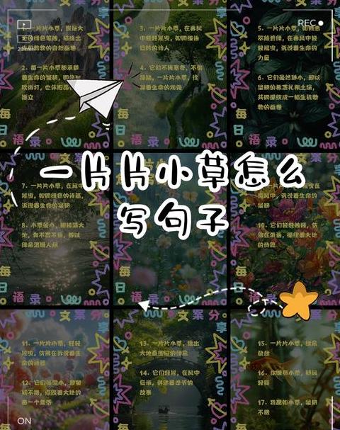 即使什么也造句子