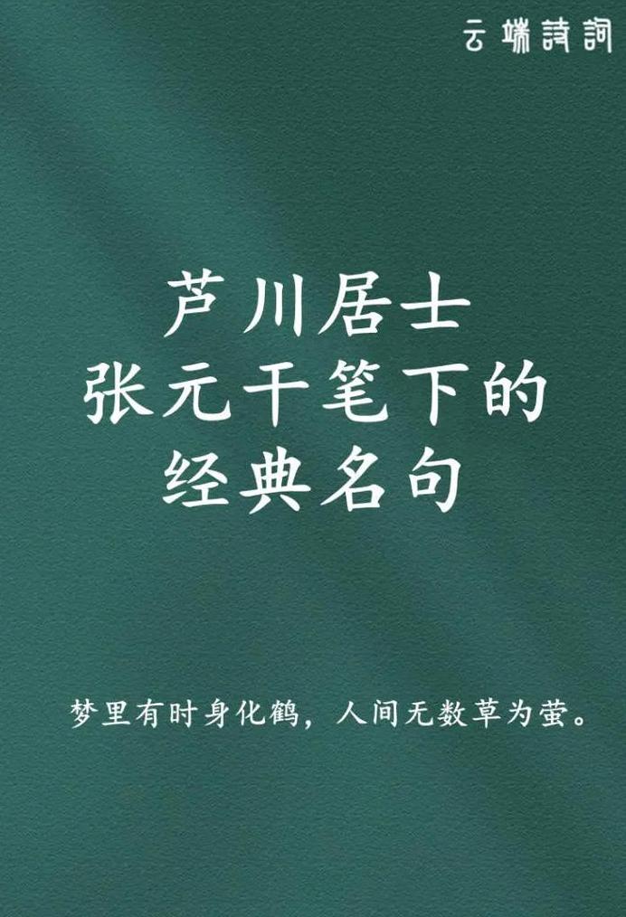 芦花诗意：古诗词中的宁静之美